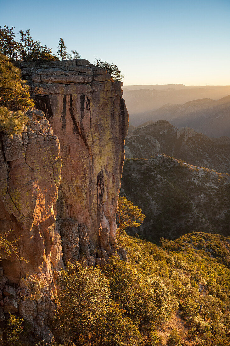 Copper Canyon, near Barancas; Chihuahua, Mexico.