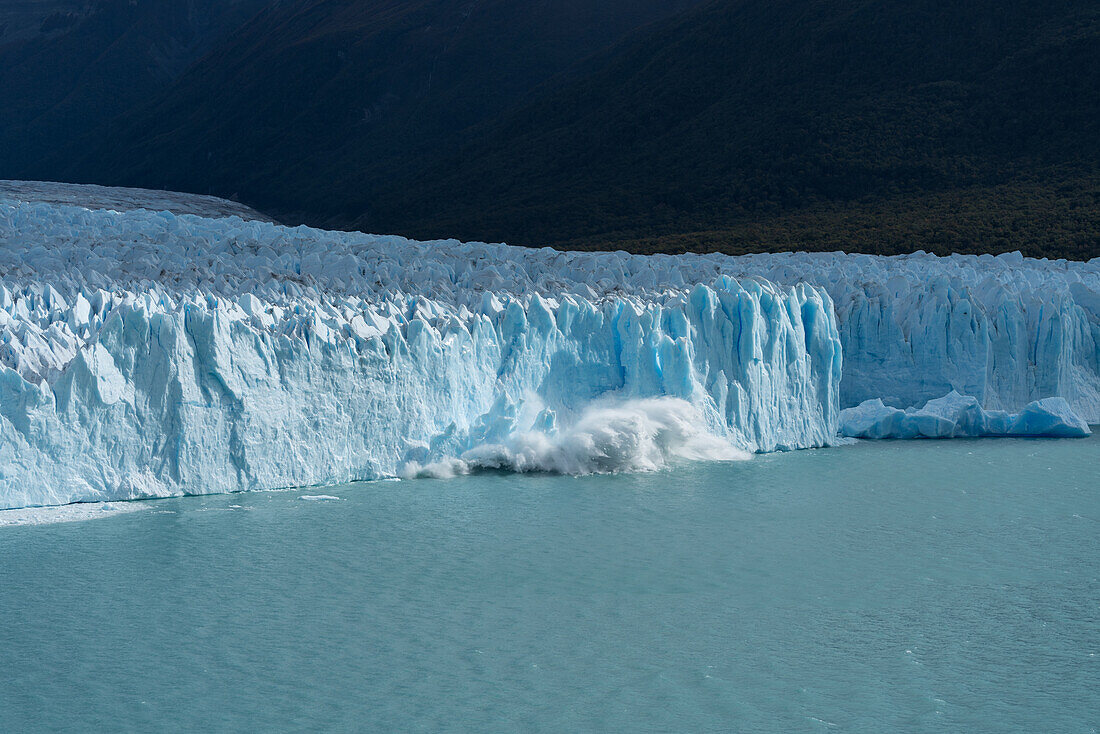 A section of the Perito Moreno Glacier calves dropping tons of glacial ice into Lago Argentino in Los Glaciares National Park near El Calafate, Argentina. A UNESCO World Heritage Site in the Patagonia region of South America.