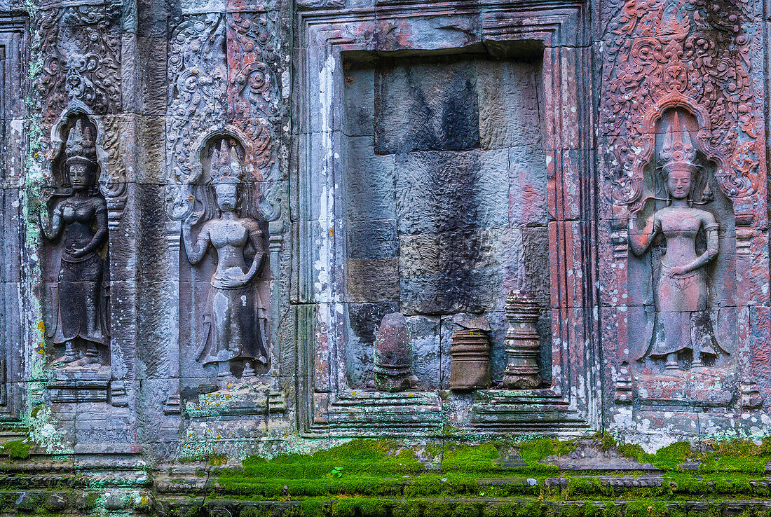 The Ta Prohm temple in Angkor Thom, Siem Reap Cambodia