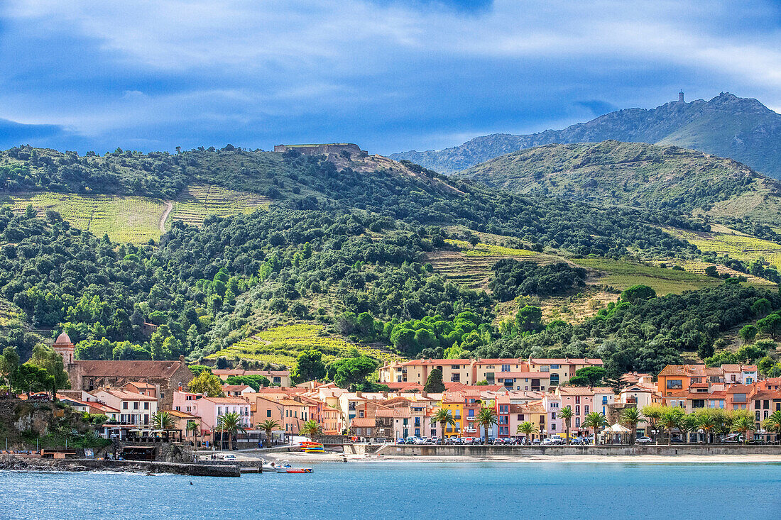 Landschaft am Strand des malerischen Dorfes Collioure, in der Nähe von Perpignan in Südfrankreich Languedoc-Roussillon Cote Vermeille Midi Pyrenees Occitanie Europa
