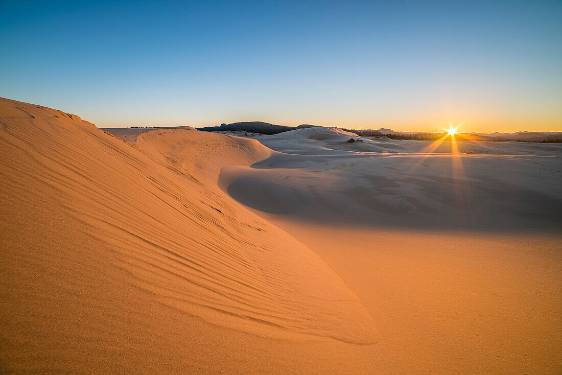 Sand dunes at Umpqua Dunes, Oregon Dunes National Recreation Area, Oregon Coast.