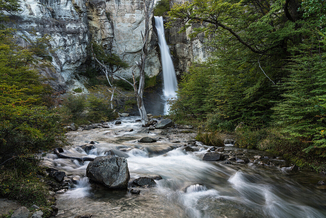 Chorillo del Salto Waterfall in Los Glaciares National Park near El Chalten, Argentina. A UNESCO World Heritage Site in the Patagonia region of South America.