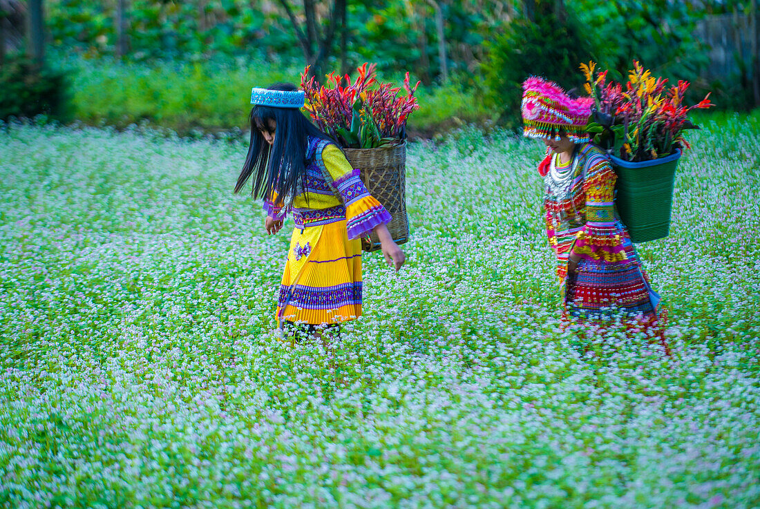 Girls from the Hmong minority in a village near Dong Van in Vietnam