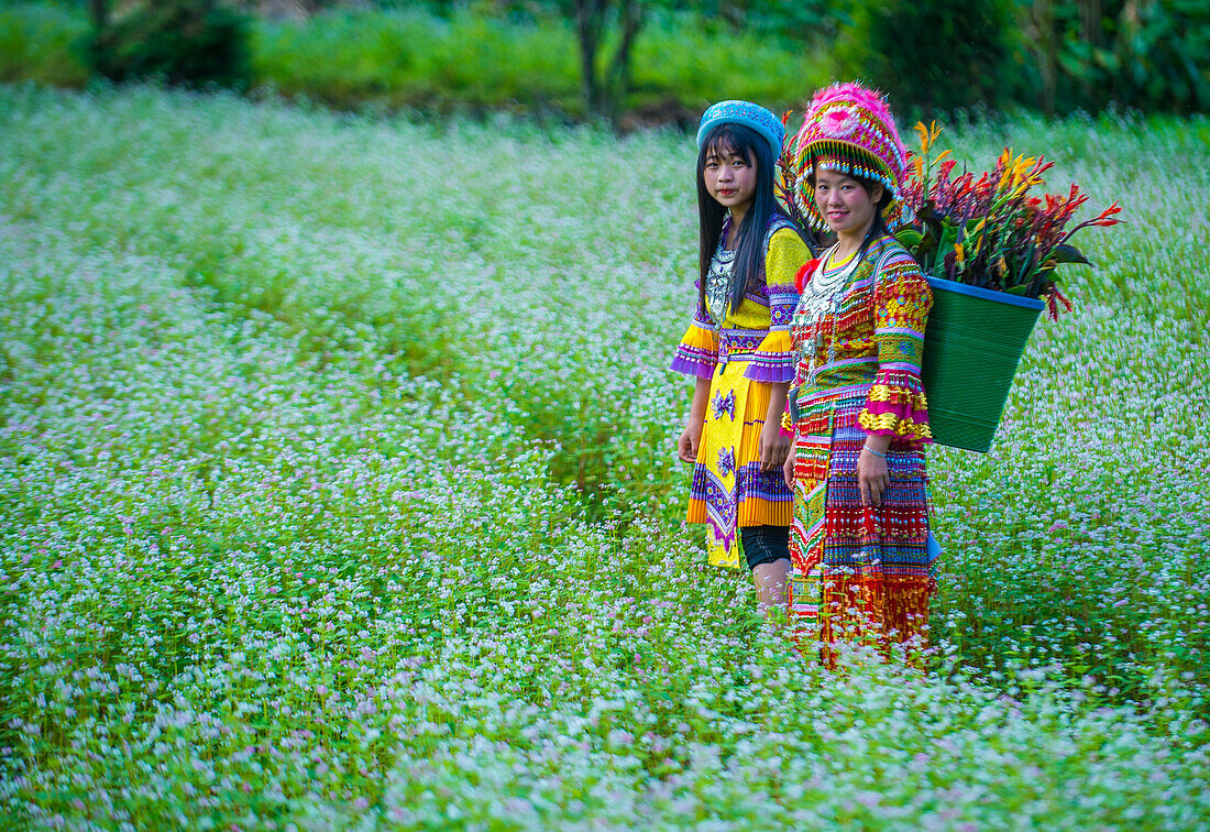 Girls from the Hmong minority in a village near Dong Van in Vietnam