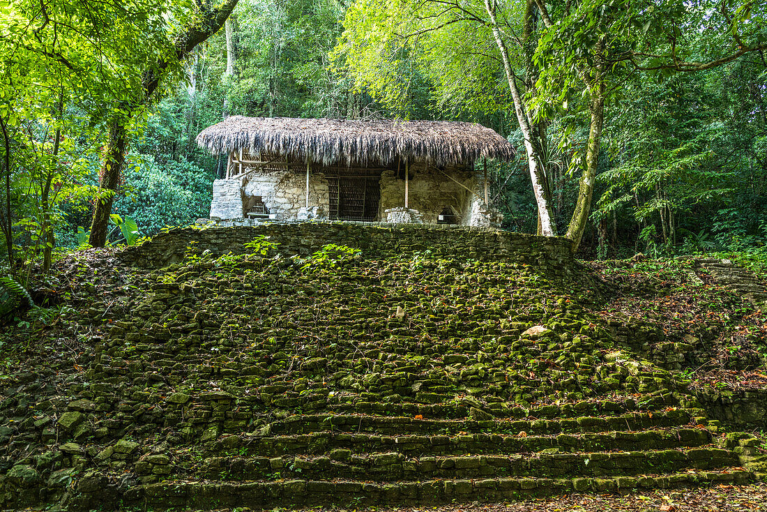 Tempel der Krieger, oder Tempel XVII, in den Ruinen der Maya-Stadt Palenque, Palenque National Park, Chiapas, Mexiko. Eine UNESCO-Welterbestätte.