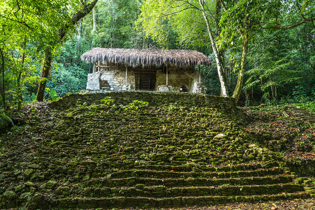 Temple of the Warriors, or Temple XVII, in the ruins of the Mayan city of Palenque, Palenque National Park, Chiapas, Mexico. A UNESCO World Heritage Site.