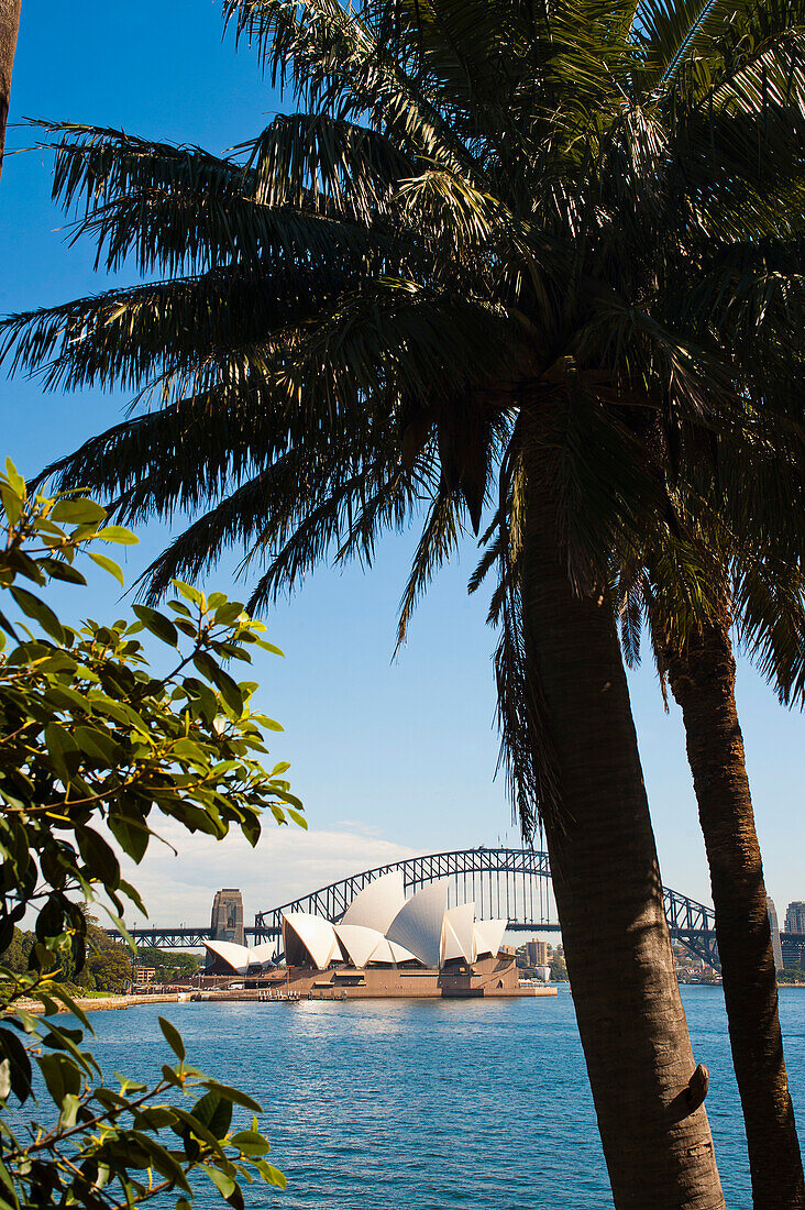 Sydney Opera House und Sydney Harbour Bridge von den Sydney Botanic Gardens, New South Wales, Australien