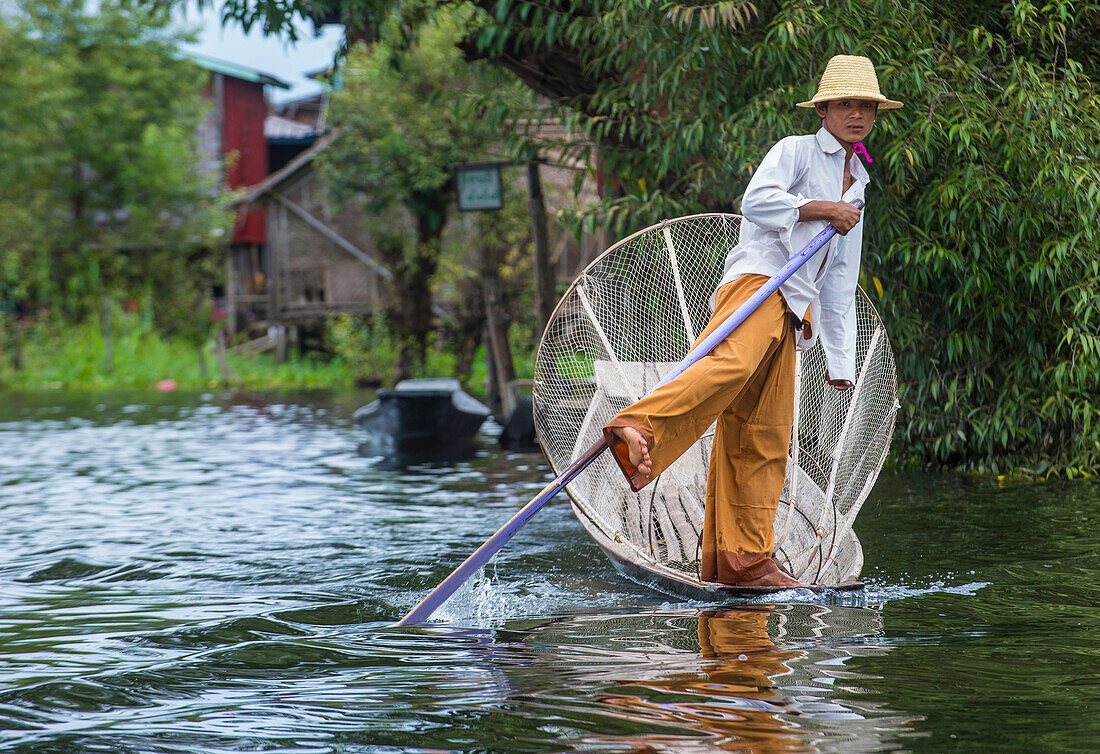 Burmese fisherman at Inle lake Myanmar