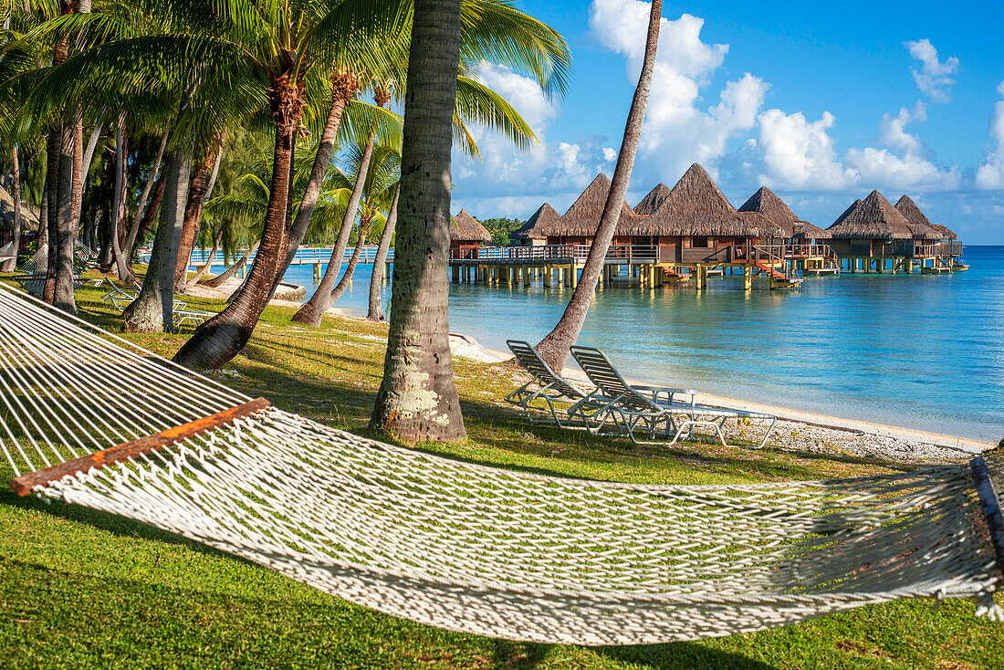 Hammock under coconut trees at Luxury Hotel Kia Ora Resort & Spa on Rangiroa, Tuamotu Islands, French Polynesia.
