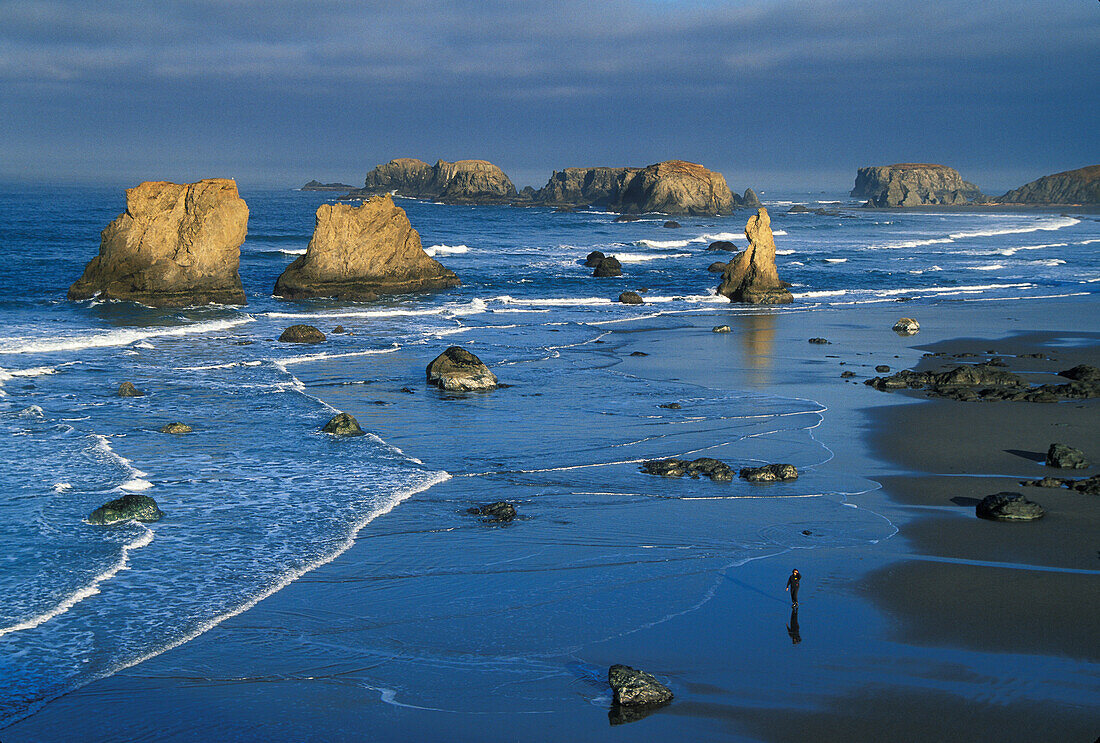 Strand von Bandon und Meeresstapel vom Face Rock State Wayside aus, mit einer Frau, die am Strand spazieren geht; Bandon, Südküste von Oregon.