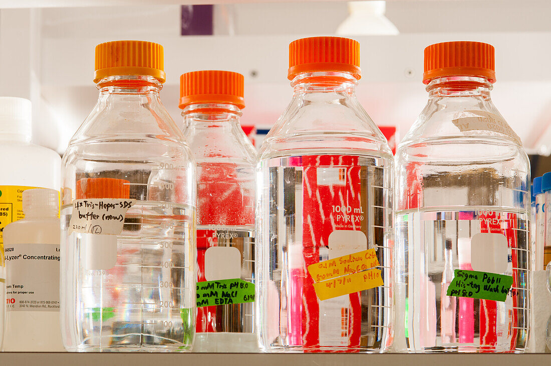 Lab bottles with clear liquid and orange lids in a science lab in College Park, Maryland
