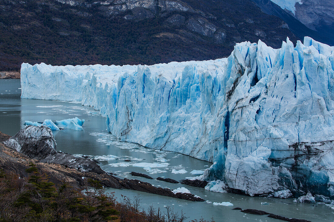 Die zerklüftete Wand des Perito-Moreno-Gletschers und der Lago Argentino im Los-Glaciares-Nationalpark bei El Calafate, Argentinien. Ein UNESCO-Weltnaturerbe in der Region Patagonien in Südamerika. Eisberge, die vom kalbenden Eis des Gletschers stammen, schwimmen im See.