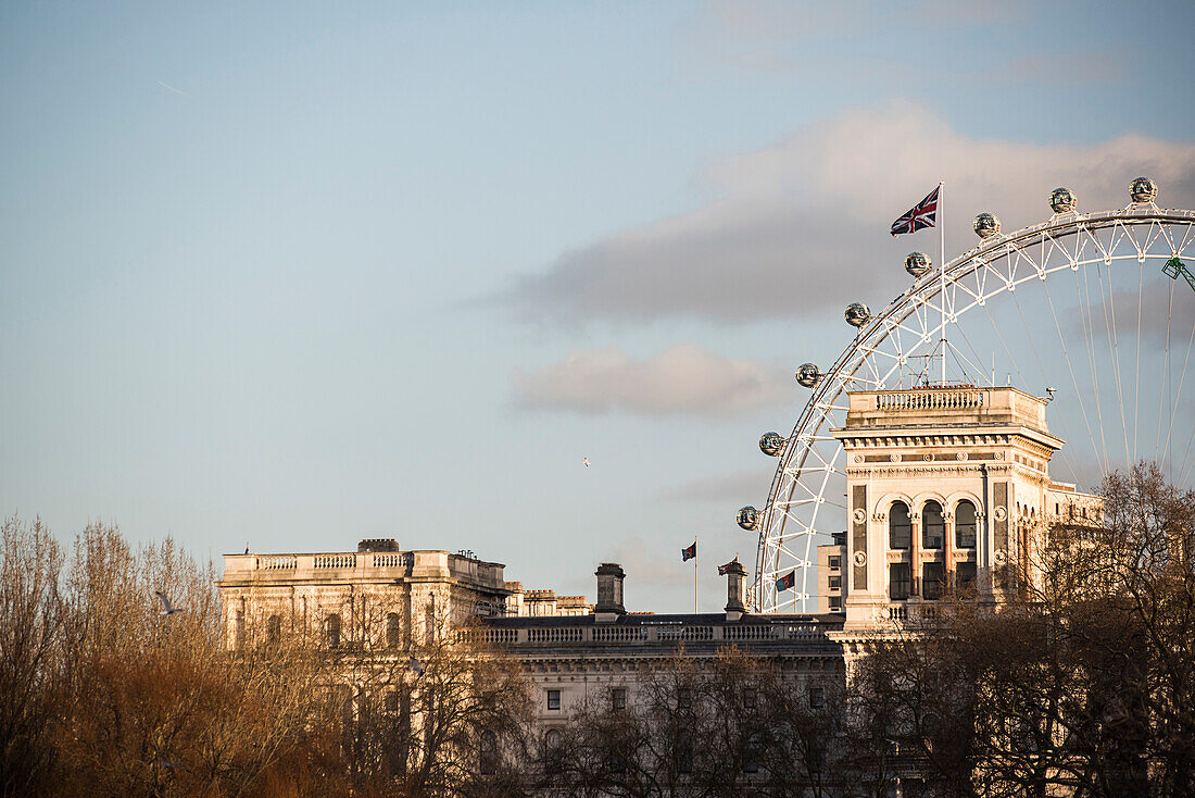 Her Majestry's Treasury and the London Eye, seen from St James's Park, London, England
