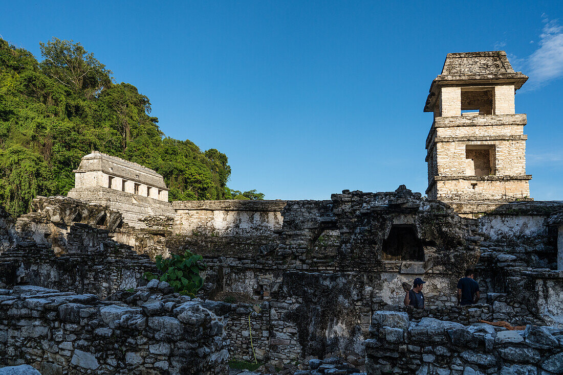 The Palace tower and the Temple of the Inscriptions in the ruins of the Mayan city of Palenque, Palenque National Park, Chiapas, Mexico. A UNESCO World Heritage Site.