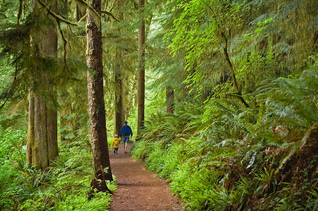 Vater und Sohn wandern auf dem Drift Creek Falls Trail; Siuslaw National Forest, Coast Range Mountains, Oregon.