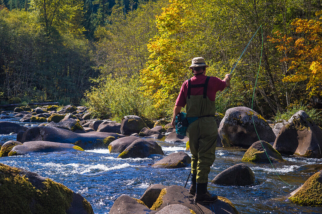 Fliegenfischen an der North Fork des Middle Fork of the Willamette River; Willamette National Forest, Cascade Mountains, Oregon.