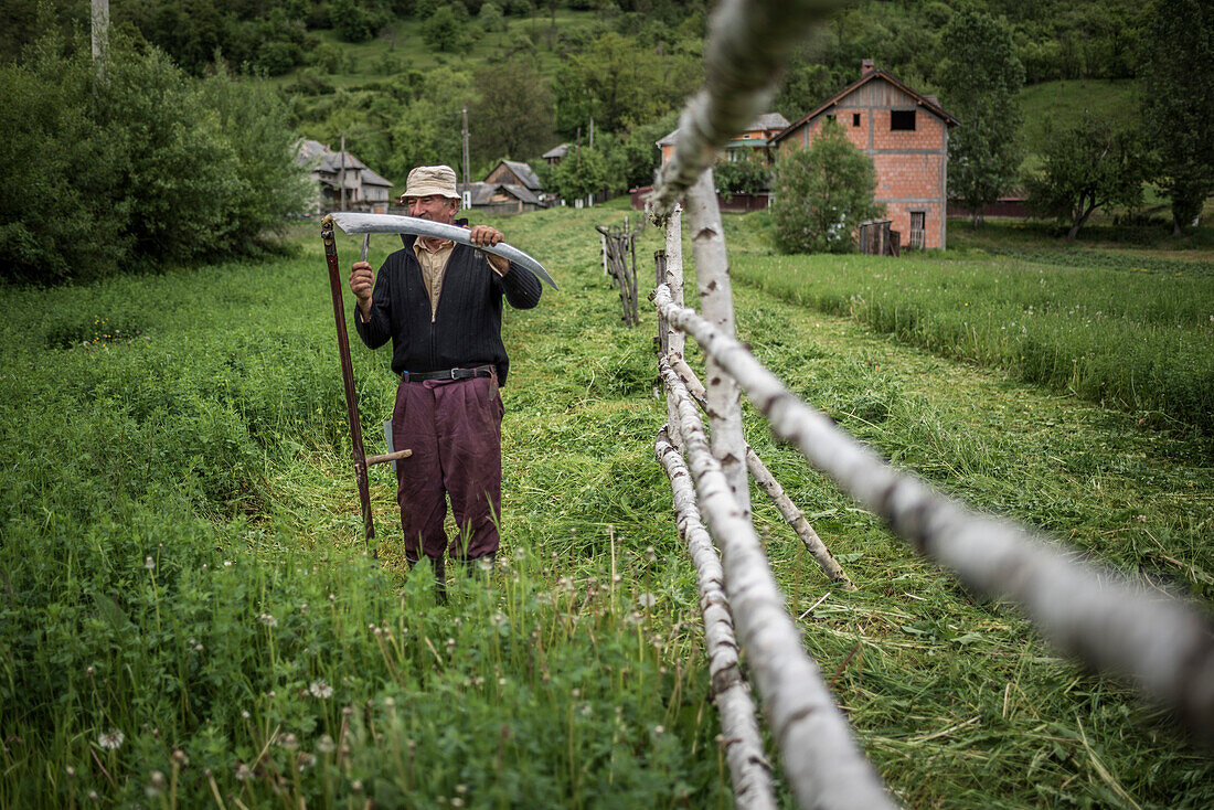 Man cutting grass with a sythe, Maramures, Romania