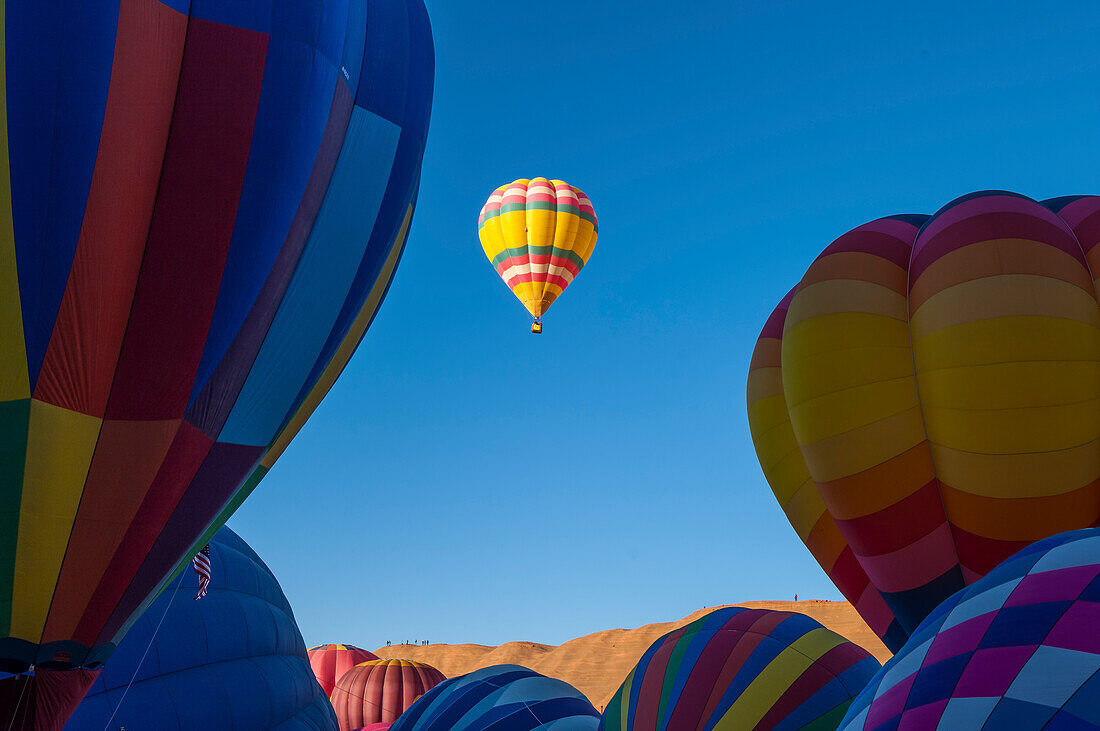 Heißluftballons bei der jährlichen Red Rock Balloon Rally im Red Rock State Park, Gallup, New Mexico.