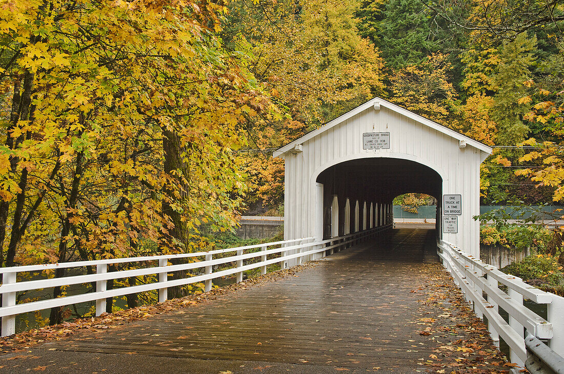 Goodpasture Covered Bridge über den McKenzie River; Lane County, Oregon.