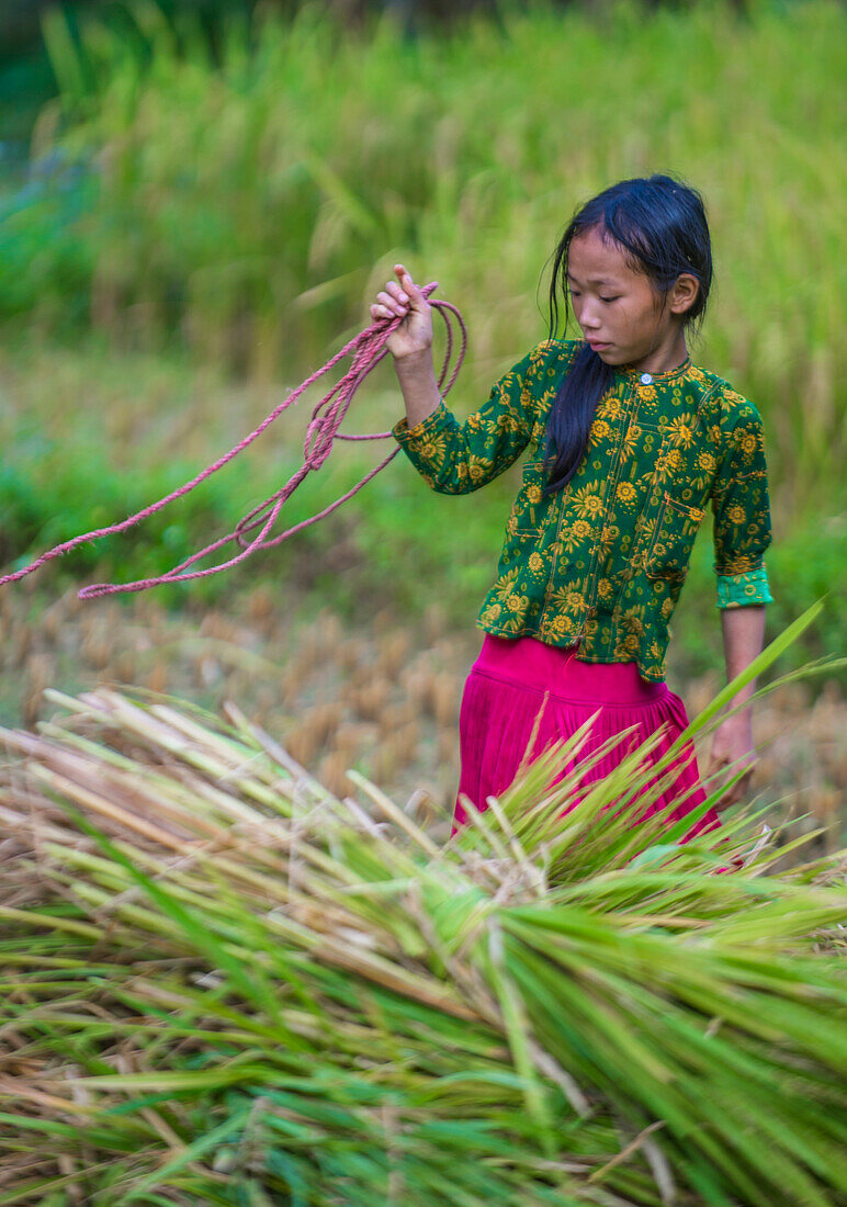 Vietnamese farmer in a countrside near Ha Giang Vietnam