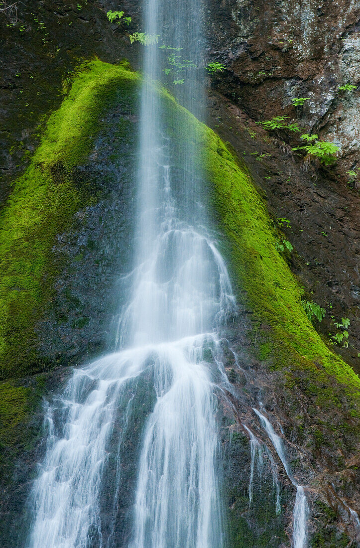 Marymere Falls, Olympic National Park, Washington.