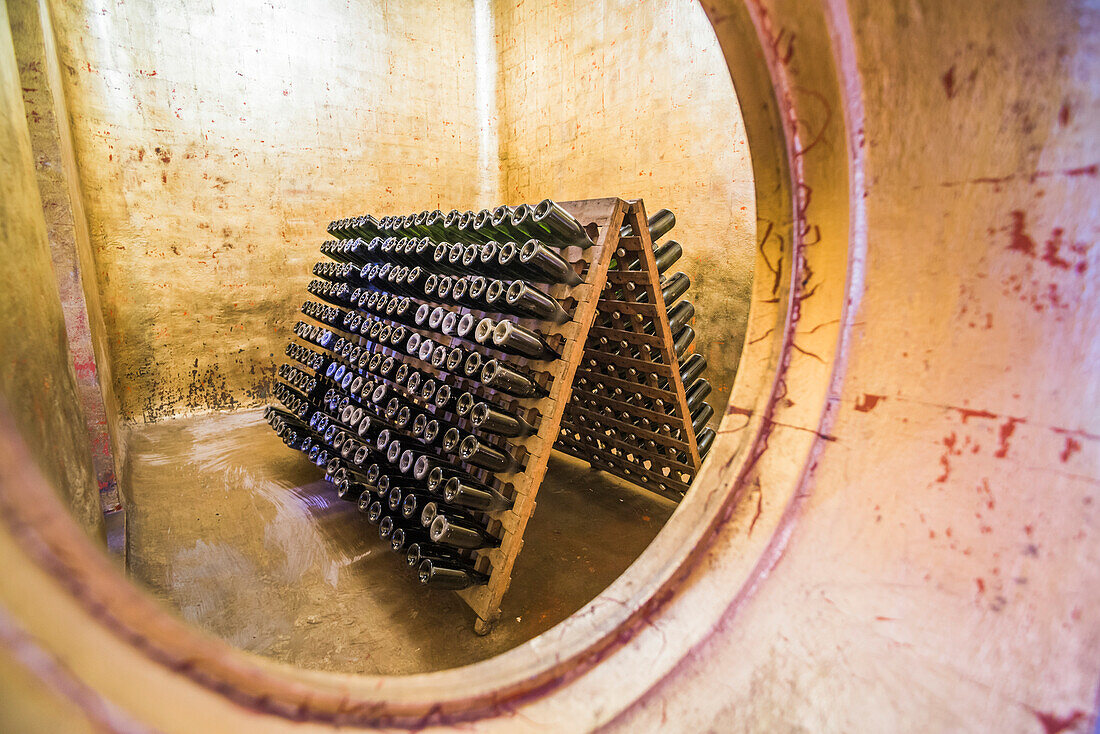 Alte Weinflaschen im Club Tapiz, einer Bodega (Weinkellerei) im Gebiet Maipu in Mendoza, Provinz Mendoza, Argentinien