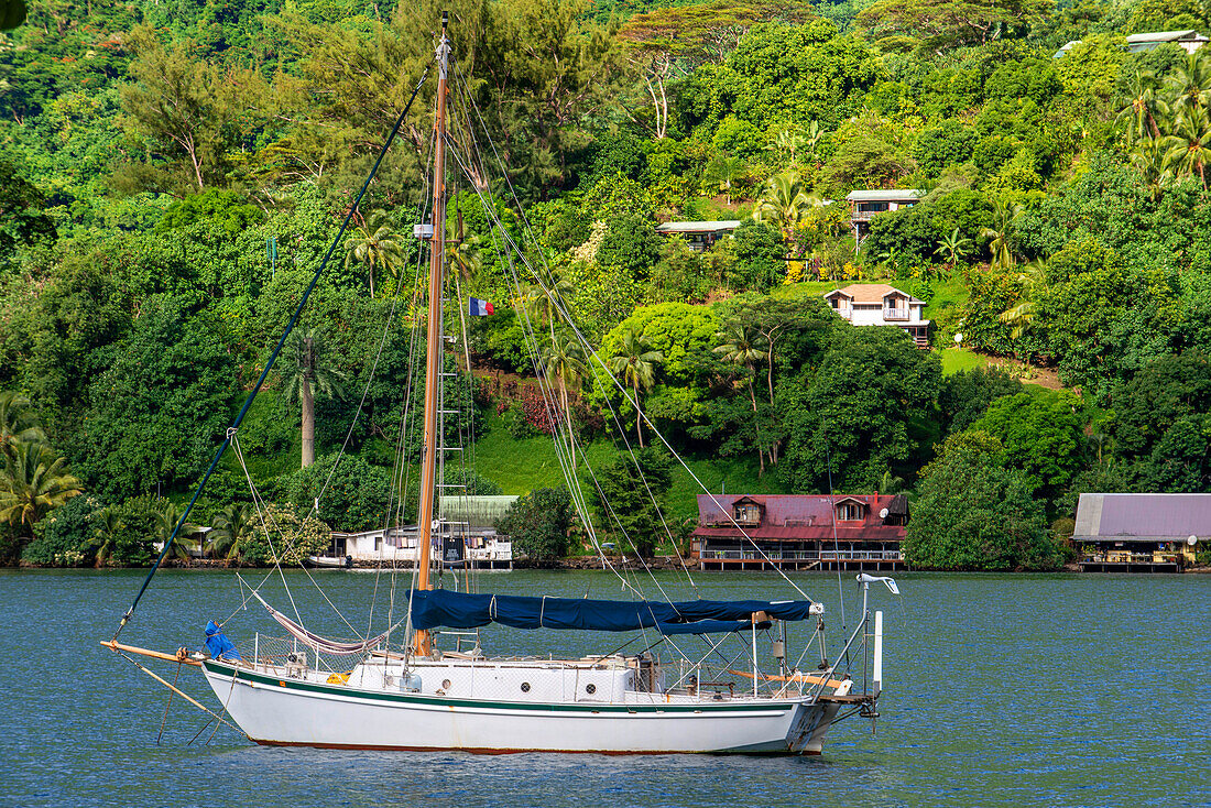 Segelboot, Cook's oder Paopao Bay, Mt. Rotui und Mt. Mouaroa, Moorea, Gesellschaftsinseln, Französisch-Polynesien, Südpazifik, Ozeanien.