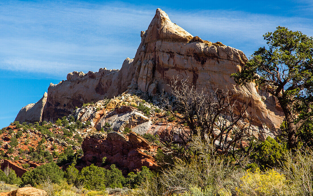 Sandsteinfelsen im Muley Twist Canyon im Capitol Reef National Park in Utah.