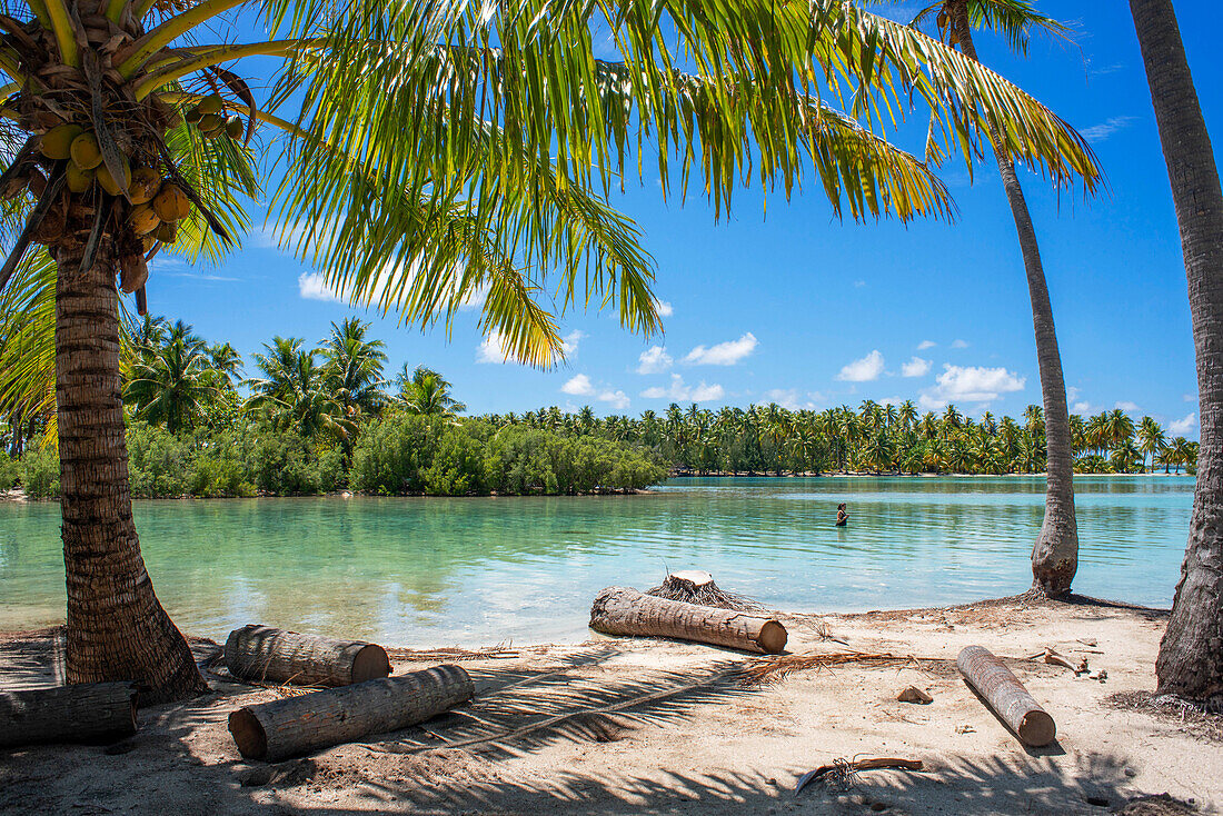 Tropical paradise seascape Taha'a island landscape, French Polynesia. Motu Mahana palm trees at the beach, Taha'a, Society Islands, French Polynesia, South Pacific.