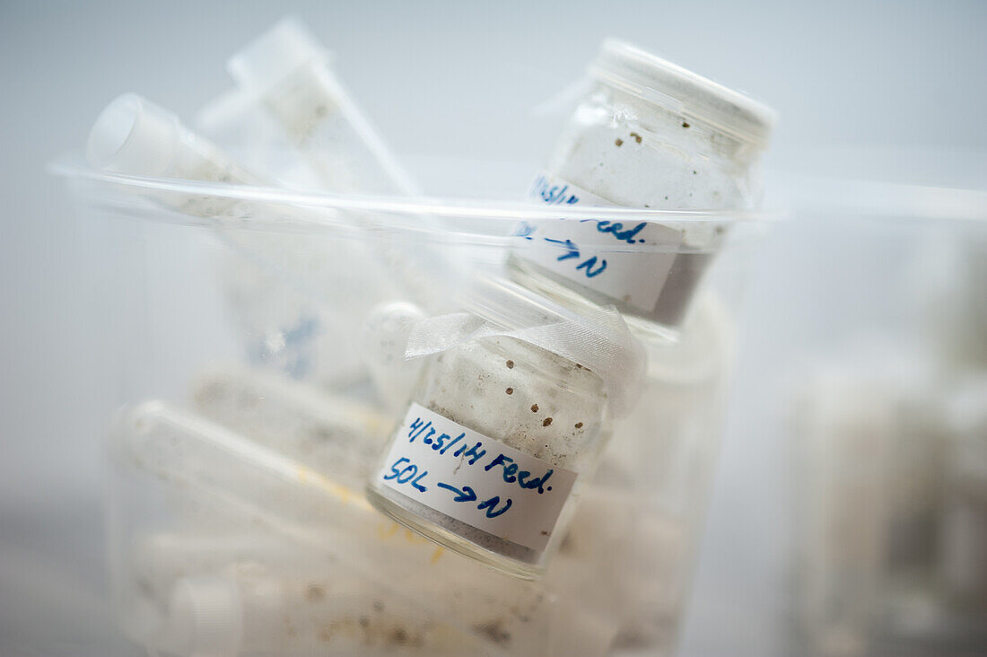 Vials in a container for Lyme disease research in College Park, Maryland, USA