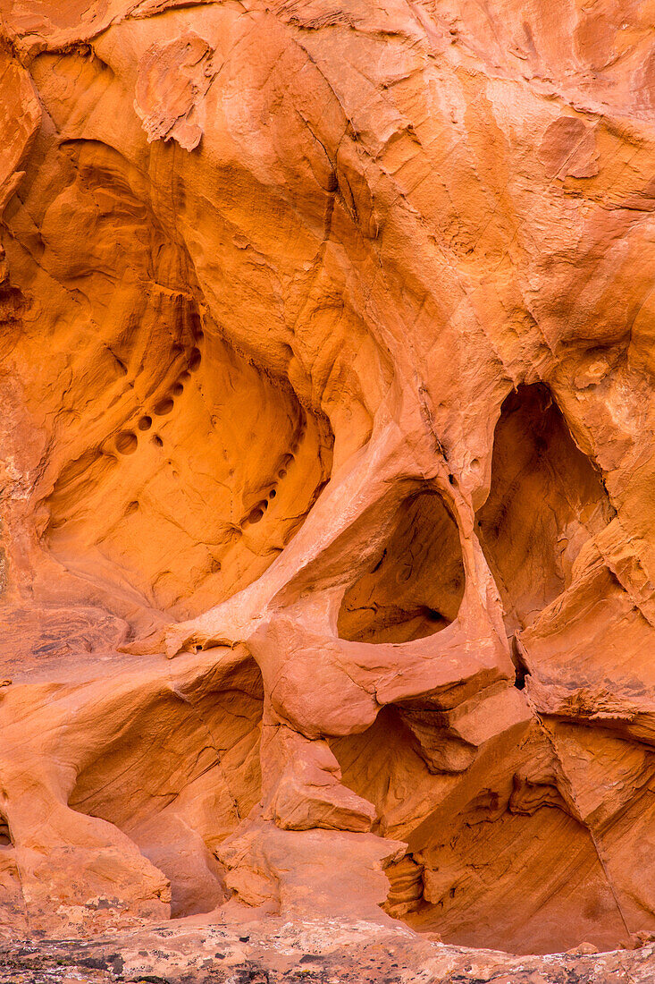 Komplizierte Erosionsmuster, darunter ein Mikrobogen, in der Sandsteinwand des Muley Twist Canyon, Capitol Reef National Park, Utah.