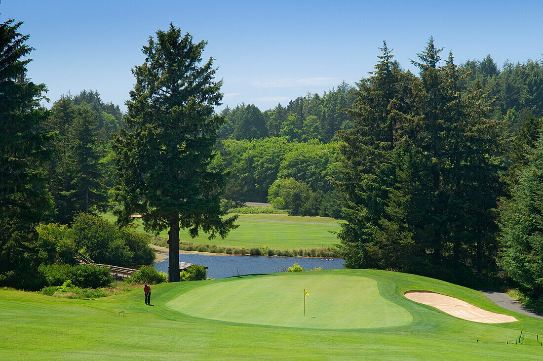 Head golf pro Mark Swift chipping a ball at hole #9 on the course at Salishan Spa & Golf Resort, central Oregon Coast.