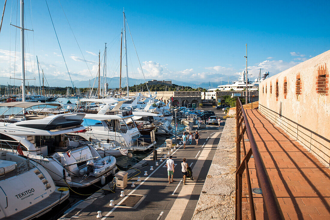 Yachten im Hafen von Antibes, Provence-Alpes-Côte d'Azur, Südfrankreich, Europa