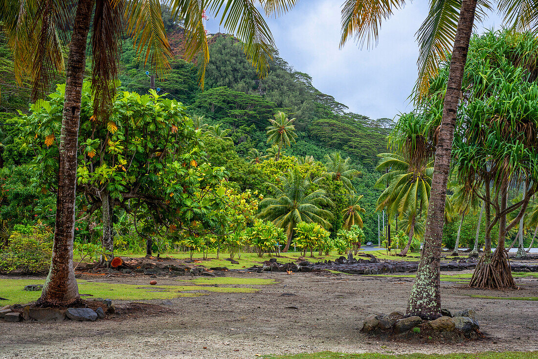 Archaeological site and Marae temple at Maeva, Huahine, Society Islands, French Polynesia, South Pacific.