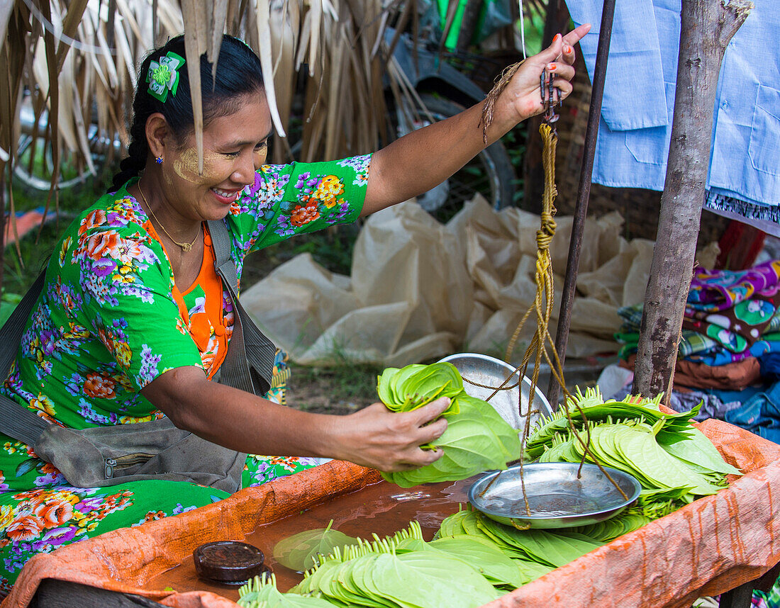 Burmese woman selling betel leaf in a market in Shan state Myanmar