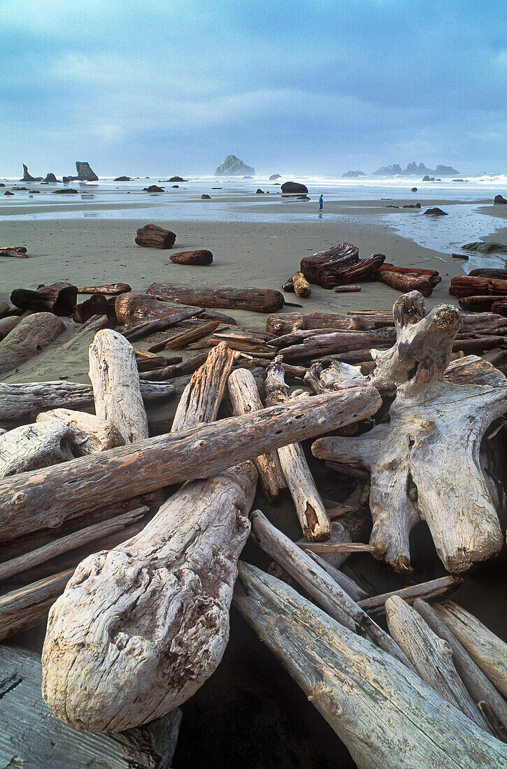 Driftwood and person walking on beach with sea stacks in distance; Bandon, southern Oregon coast.