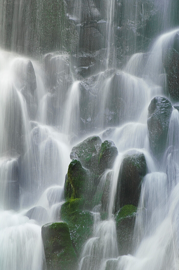 Ramona Falls, Mount Hood Wilderness, Oregon.