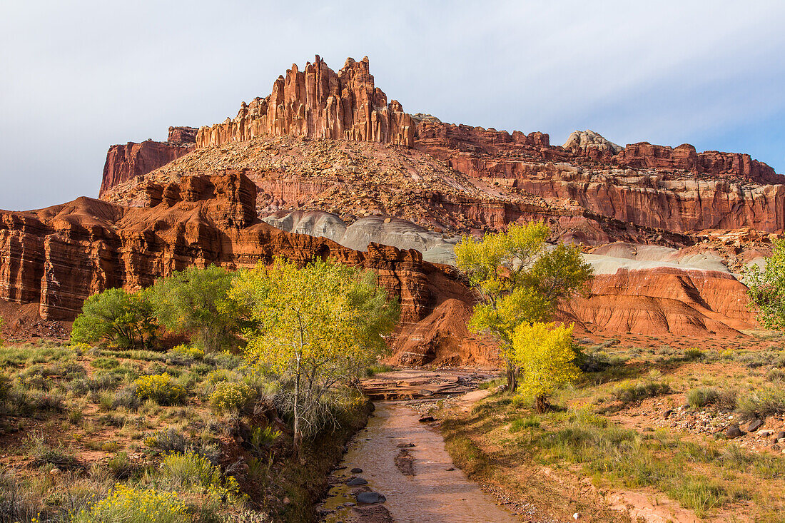 Das Schloss im Capitol Reef National Park, Utah, mit dem Fremont River und Pappeln in Herbstfarben.