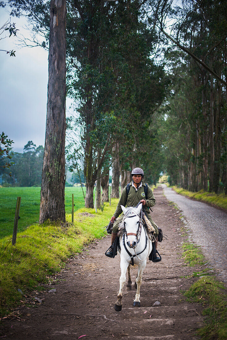Horse riding at Hacienda Zuleta, Imbabura, Ecuador, South America