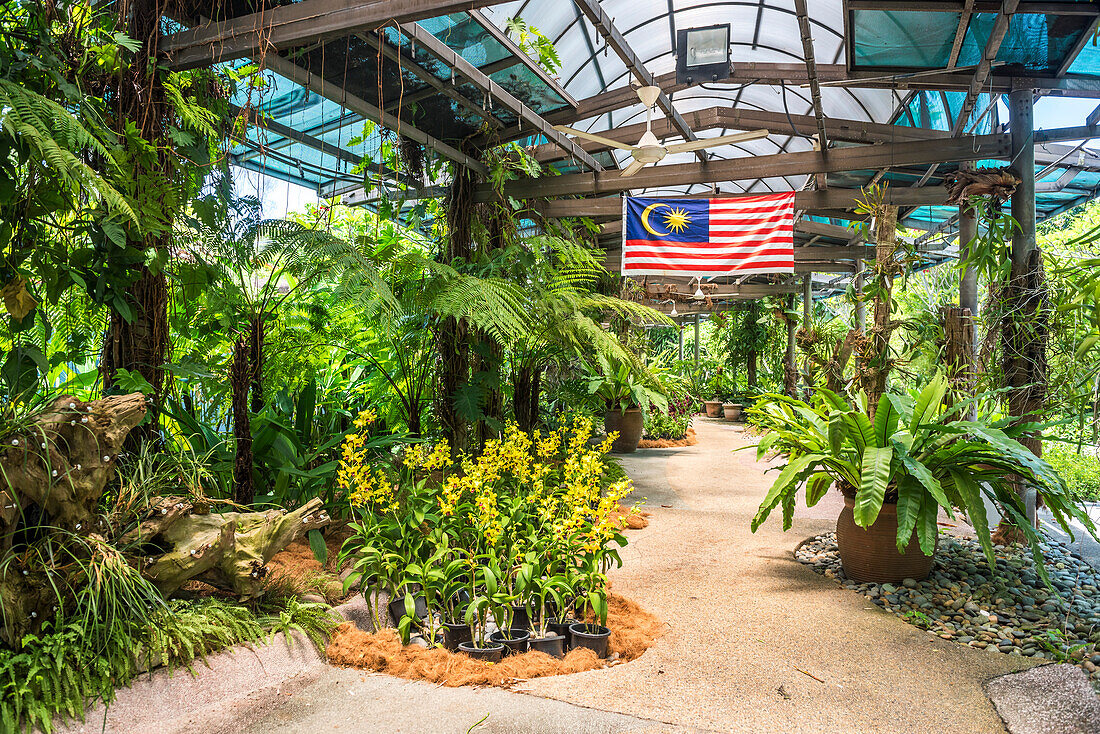 Orchid garden, Perdana Botanical Garden, Tun Abdul Razak Heritage Park, Kuala Lumpur, Malaysia