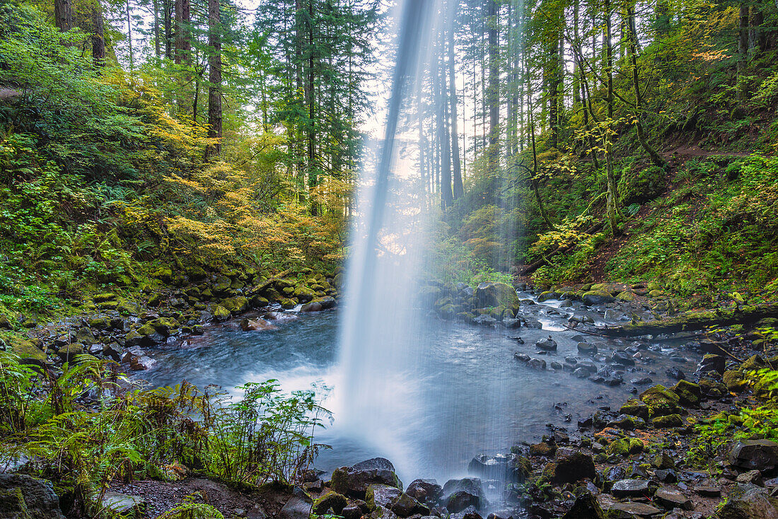 Blick vom Weg hinter den Ponytail Falls (auch bekannt als Upper Horsetail Falls), Columbia River Gorge National Scenic Area, Oregon.