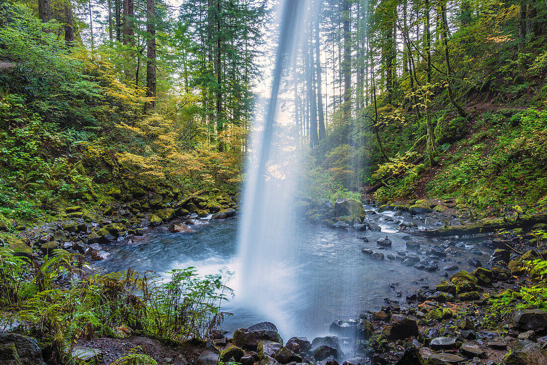 View from trail behind Ponytail Falls (aka Upper Horsetail Falls), Columbia River Gorge National Scenic Area, Oregon.