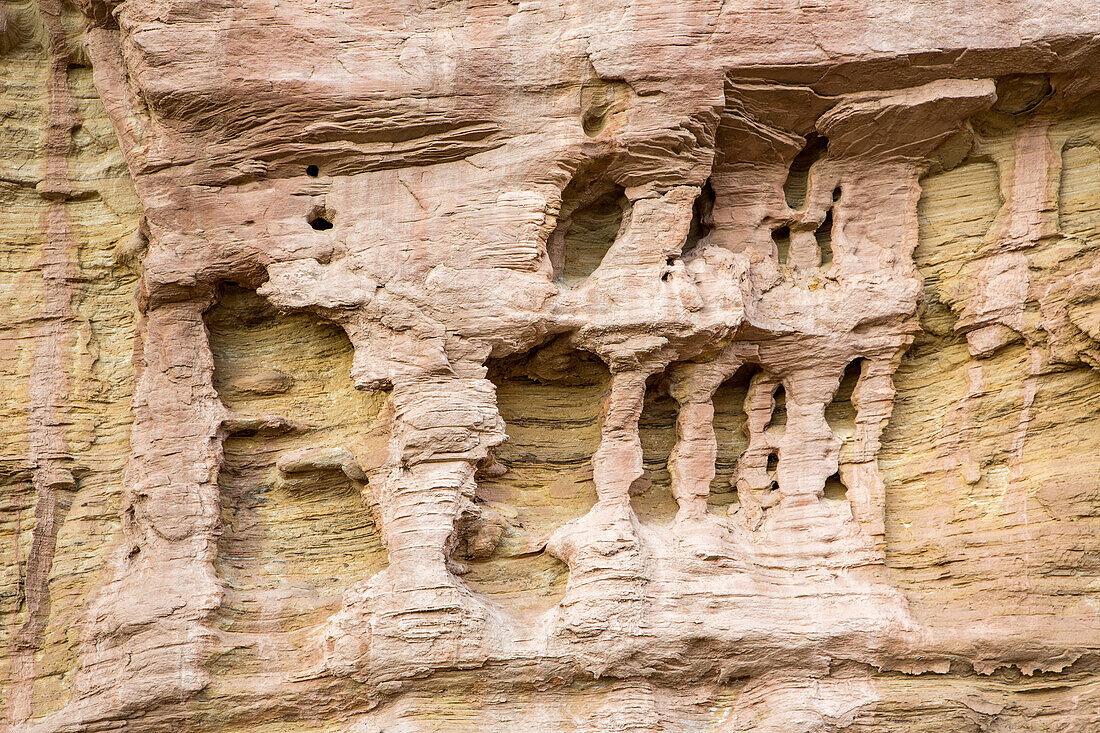 Fanciful eroded micro pillars in the sandstone of Capitol Reef National Park in Utah.