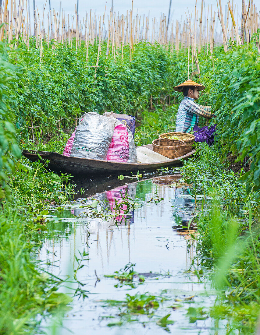 Intha Frau auf ihrem Boot im Inle See Myanmar am 07. September 2017 , der Inle See ist ein Süßwassersee im Shan Staat