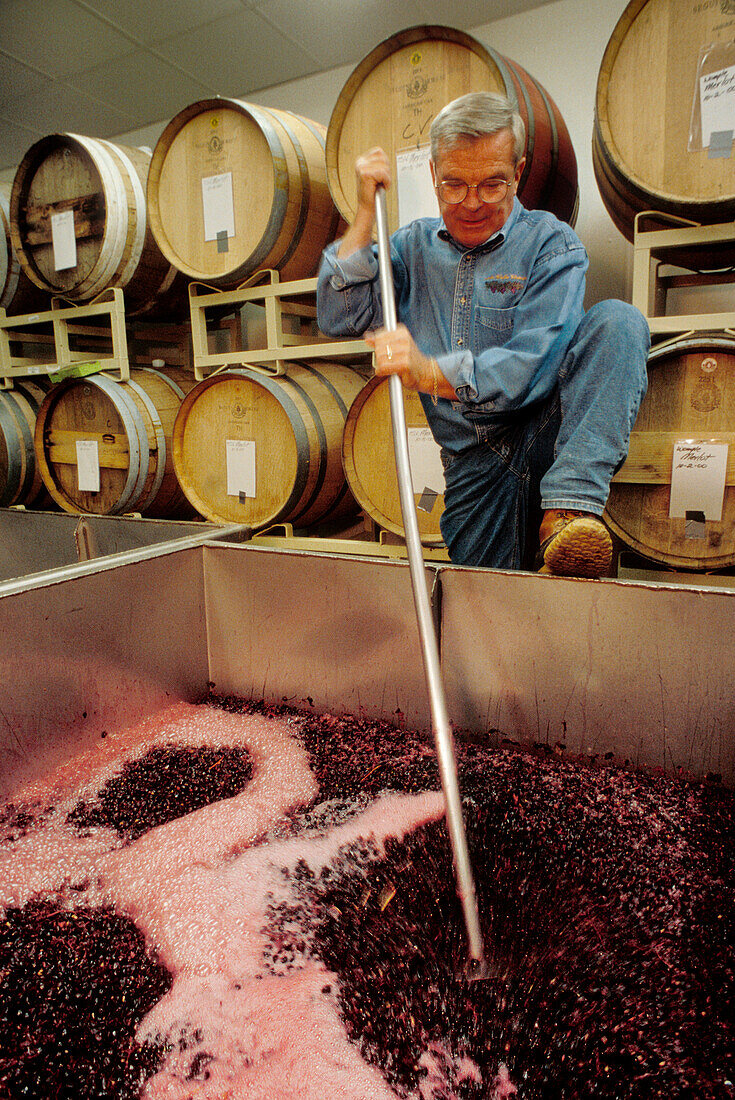 Winemaker Myles Anderson punching down a tank of merlot; Walla Walla Vintners, Washington.
