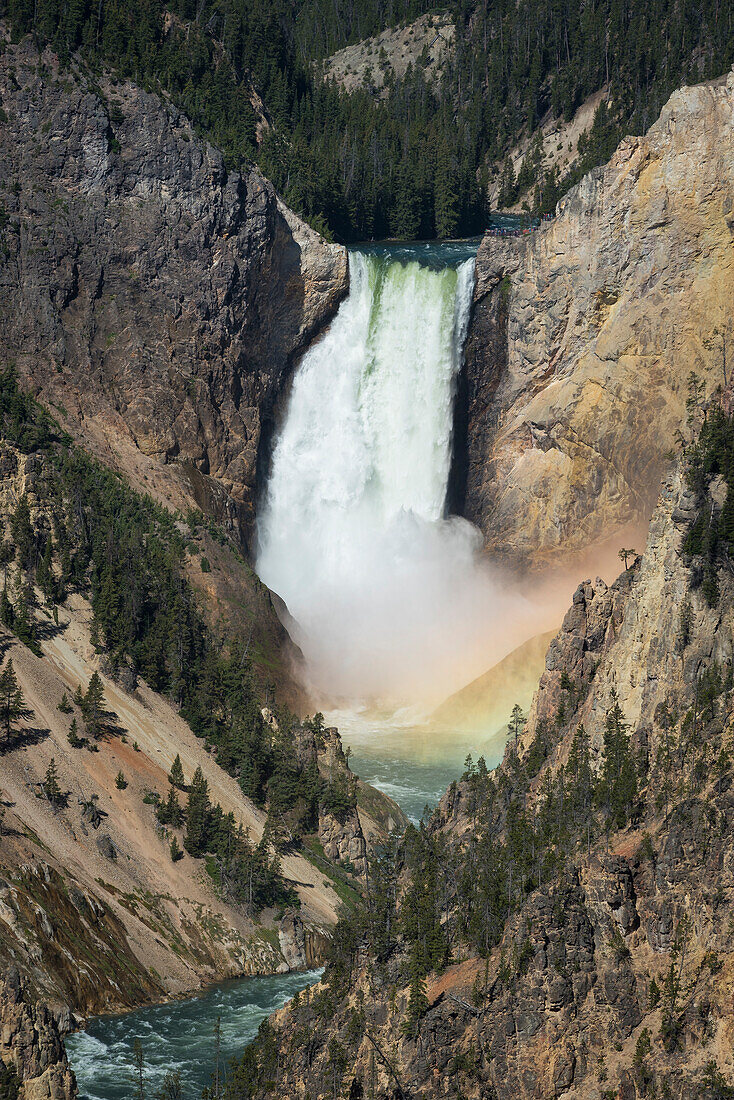 Lower Falls of the Yellowstone River, mit Regenbogen am Fuße der Fälle, von Artists Point, Yellowstone National Park, Wyoming.