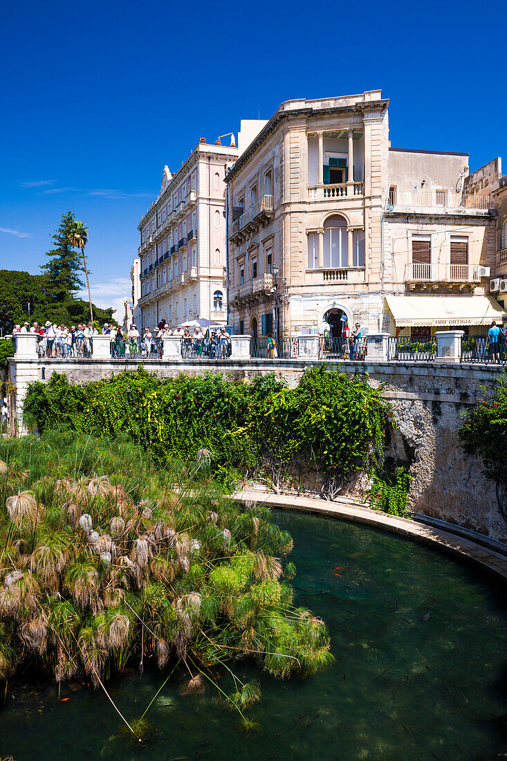 Arethusa Fountain (Fonte Aretuse), Ortigia (Ortygia), Syracuse (Siracusa), UNESCO World Heritage Site, Sicily, Italy, Europe. This is a photo of Arethusa Fountain (Fonte Aretuse) in Ortigia (Ortygia), Syracuse (Siracusa), UNESCO World Heritage Site, Sicily, Italy, Europe.