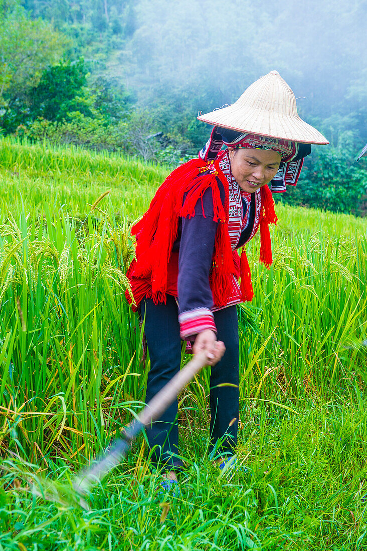 Woman from the Red Dao minority in a village near Ha Giang in Vietnam