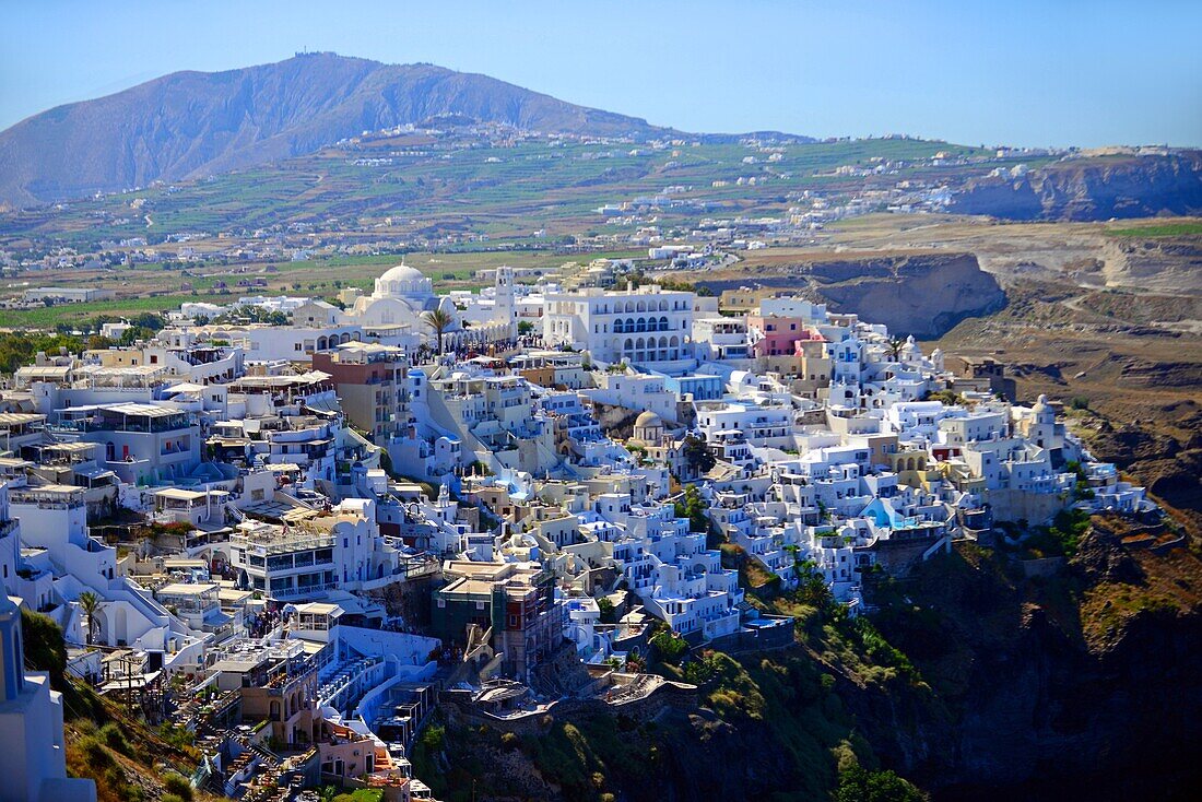 Weiße Gebäude am Berghang von Fira, Santorini, Griechische Inseln, Griechenland