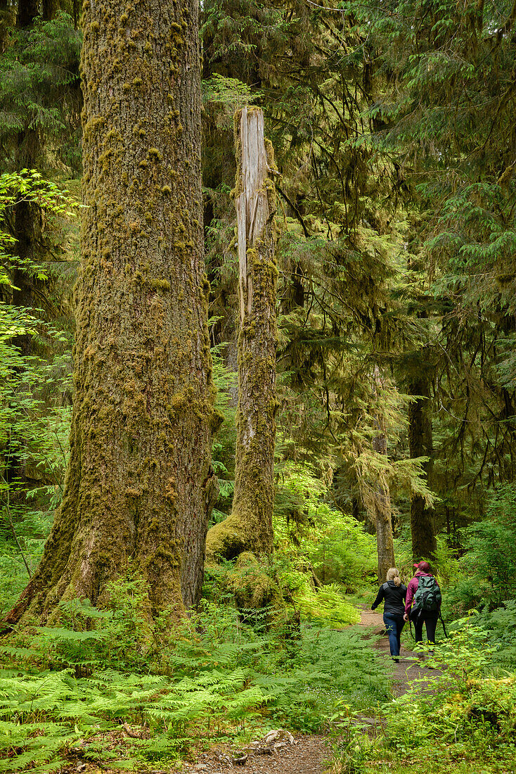 Two women hiking on Hoh River Trail, Hoh Rainforest, Olympic National Park, Washington.